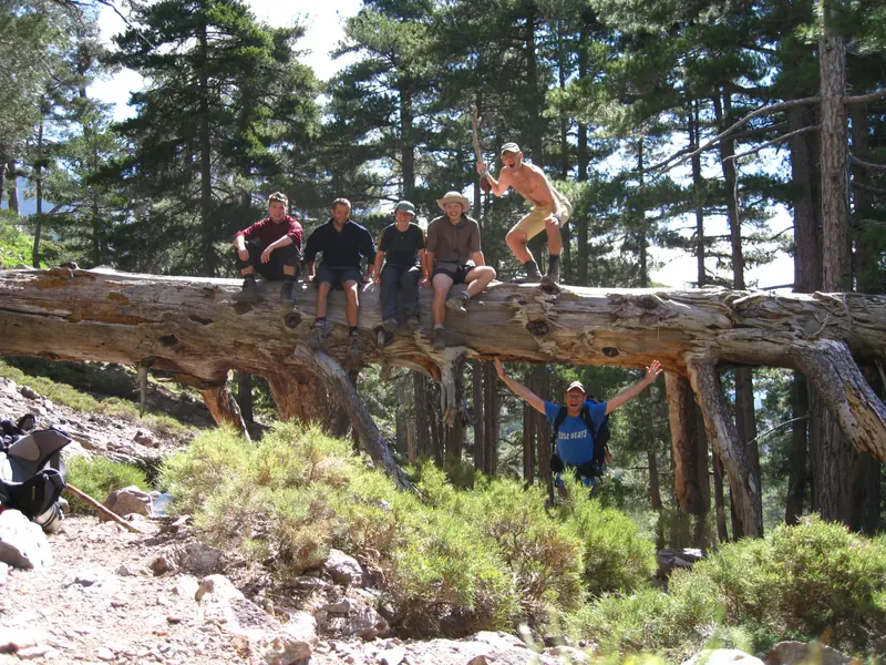 Pause sur un tronc couché
