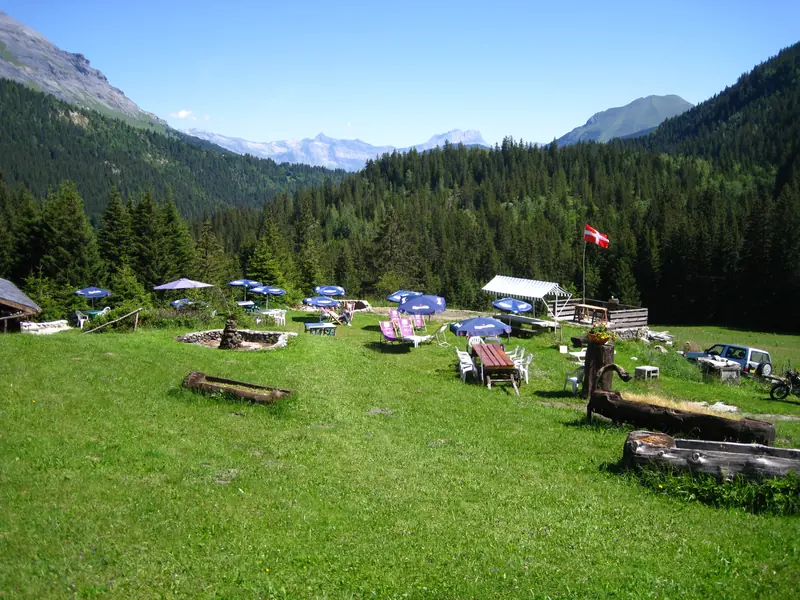 Une terrasse d’alpage dans l’herbe