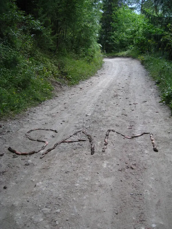 SAM, écrit dans la poussière du chemin